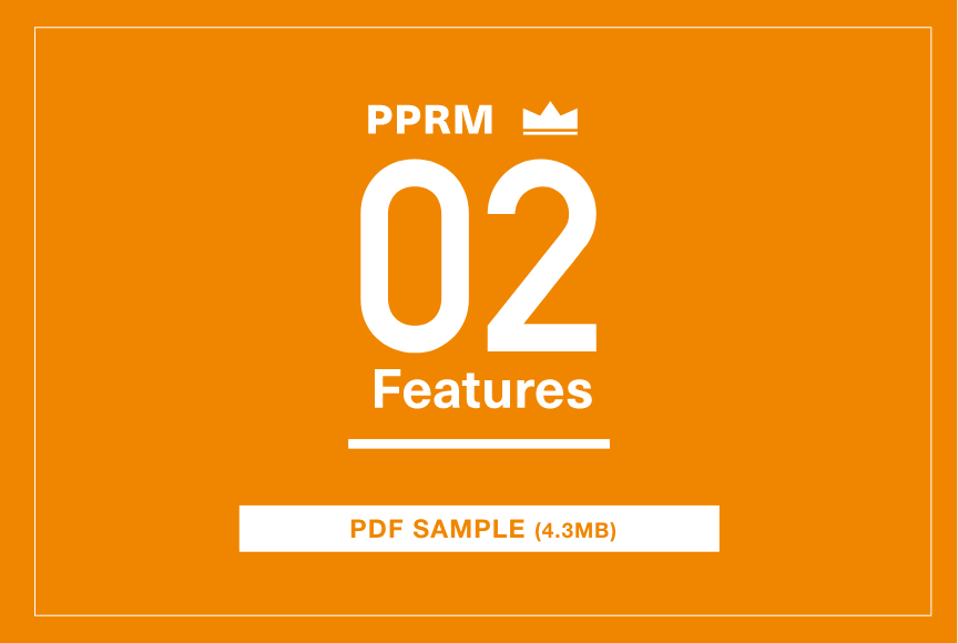 PPRM 02 Features - PDF SAMPLE (4.3MB)
